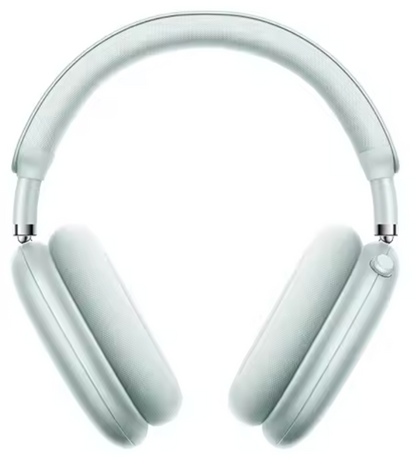 SoundScape Pro Headphones