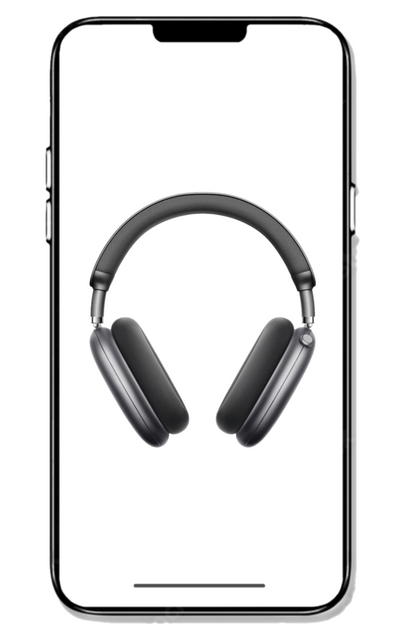 SoundScape Pro Headphones